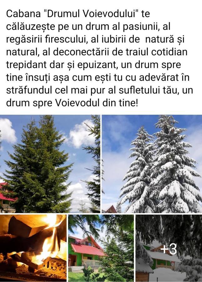 Cabana Drumul Voievodului Vulcan  Eksteriør bilde